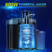 Sboly Juicer Machine, 800W Centrifugal Juicer Extractor with Wide Mouth 2.5" Feed Chute for Fruit Vegetable, Stainless Steel, 2-Speed