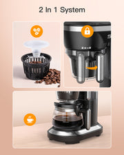 Grind and Brew Automatic Coffee Machine Single Cup Coffee Maker with a 12oz Glass Coffee Pot and Built-in Coffee Grinder